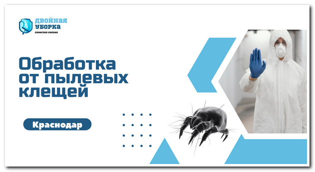 уничтожение пылевых клещей в Краснодаре