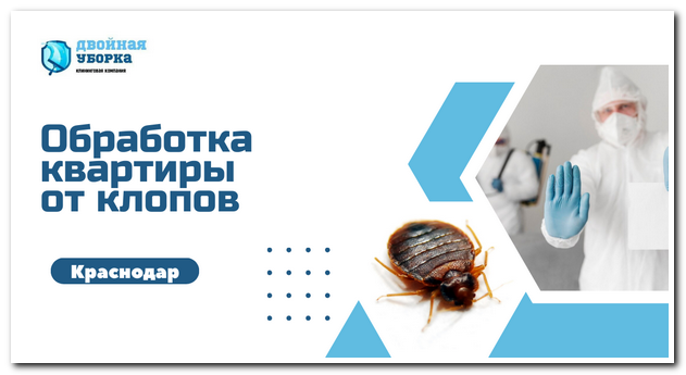 обработка квартиры от клопов в Краснодаре