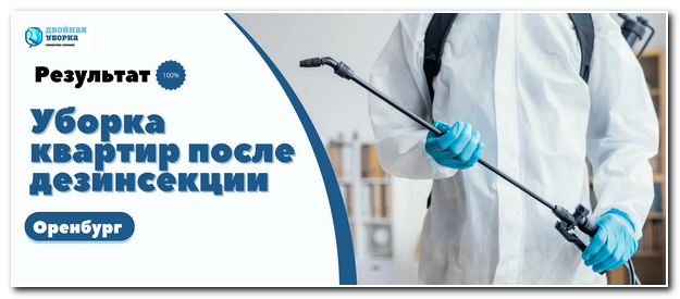 Уборка квартир после дезинсекции