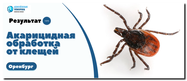 обработка участков от клещей в Оренбурге
