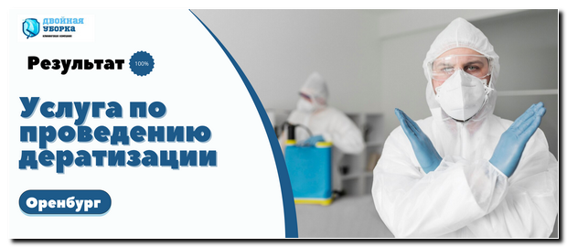 Дератизация от мышей и крыс в Оренбурге