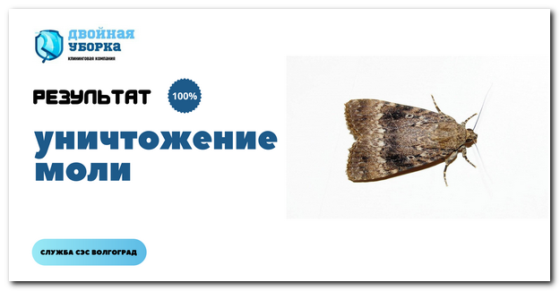 уничтожение моли в Волгограде