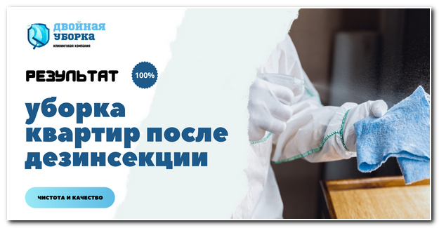 Уборка квартир после дезинсекции