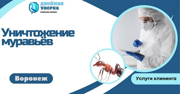 уничтожение муравьёв в воронеже